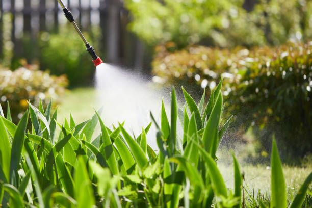 Tamper-Resistant Bait Stations for Rodents in Corinth