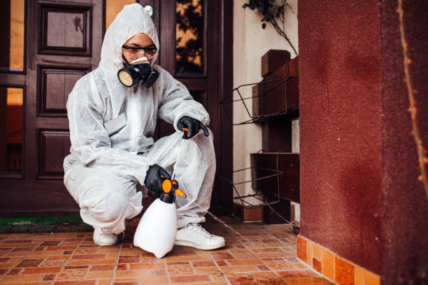 Attic and Crawl Space Rodent Treatment in Corinth